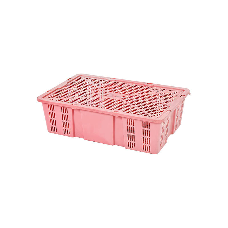 Plastic fruit turnover basket mould