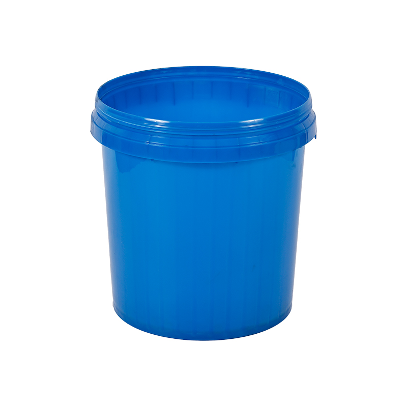 Plastic sealed paint bucket mould